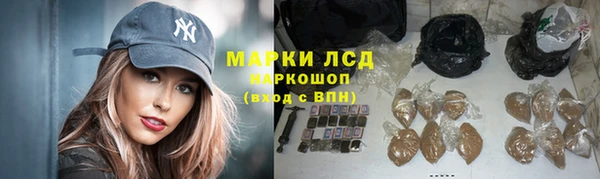 спиды Корсаков