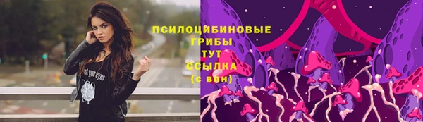 амф Кодинск