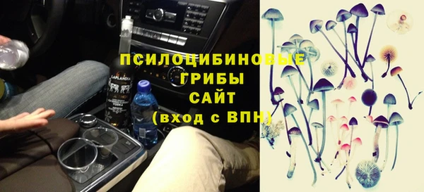 соль ск Надым