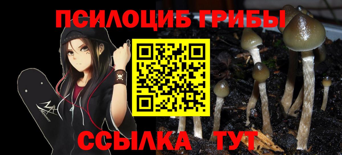 Галлюциногенные грибы мухоморы Удомля